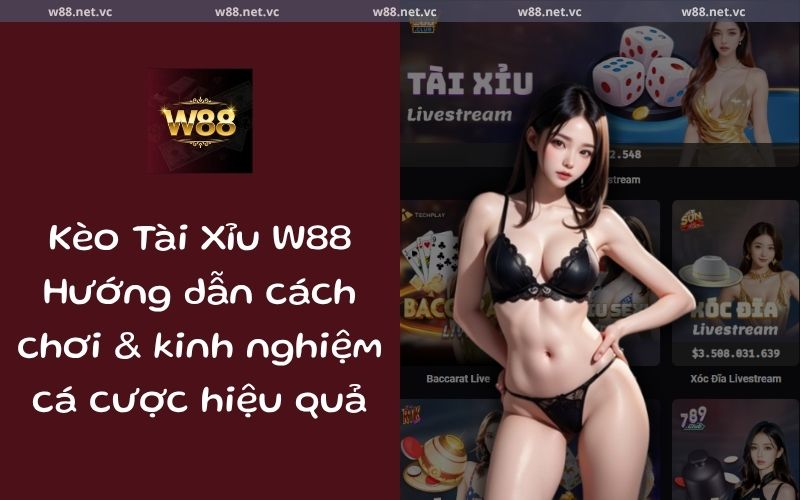 keo tai xiu w88